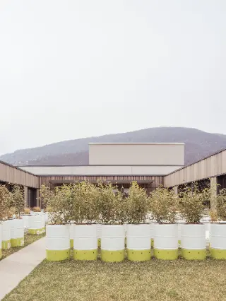 素材图片