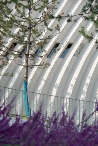 素材图片